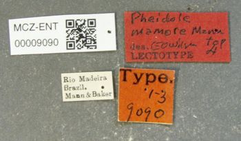 Media type: image;   Entomology 9090 Aspect: labels